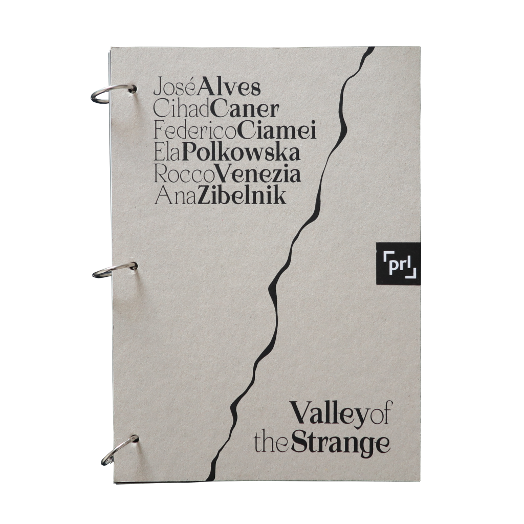 ValleyStrange_ PARALLEL 2nd cycle catalogue